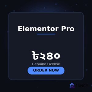 Elementor Pro