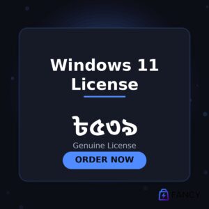Windows 11 License